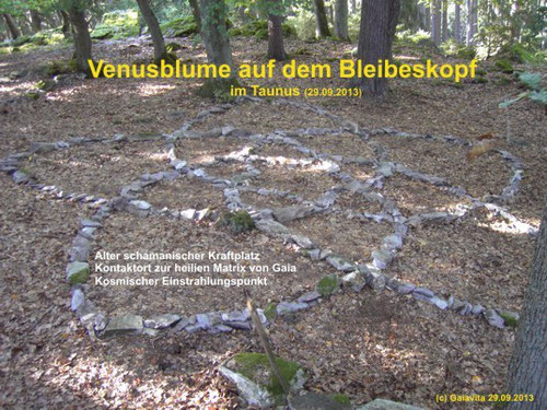 Bleibeskopf im Taunus