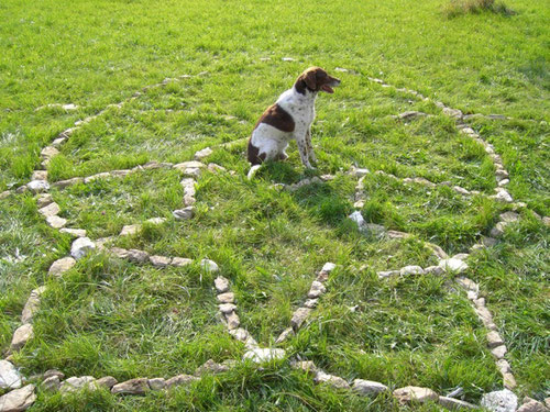 Niederrod im Taunus 2010
