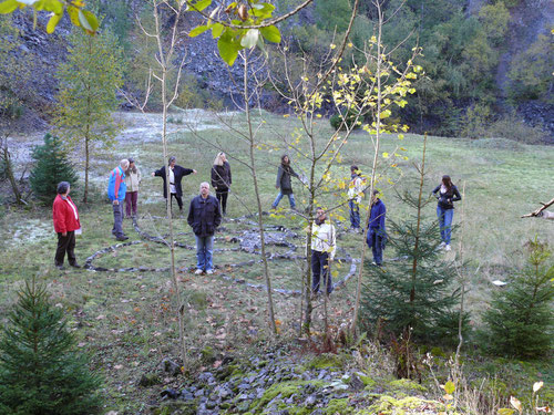 Venusblume 2010 in der Rhön - Nallenberg - bei Bad Gersfeld