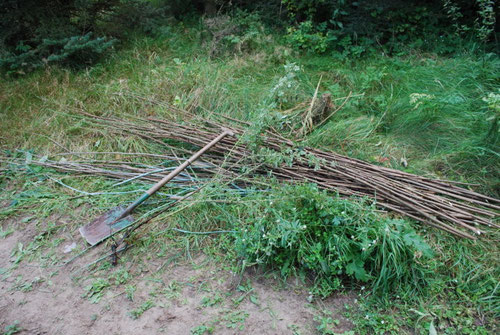 täglich geschnittene Äste (Foto E. C. Nuovia)