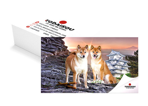 business cards kennel design; shiba inu kennel todaisou design; luxury shiba inu business cards design;