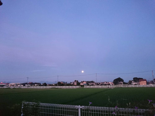 ほぼ毎朝4:50ごろにあさんぽに出かけるのですが、今日は西の空に月がくっきり見えました。調べると昨夜は満月だったようですね。だから、真ん丸お月さんが見えたのか~。日の出前ということもあってくっきり見えたのかな。着実に夜の時間が長くなっていますね。このまま季節が進めば4時50分はまだ真っ暗です。季節の移り変わりを肌で感じることができました(^^)
