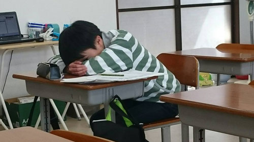 そして10分間の昼寝が長時間学習を乗り切るポイント。