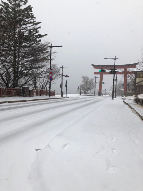 その理由は、、、なんと!大雪で外出ができなかったのです!!!ずっとミーティングしっぱなし!!