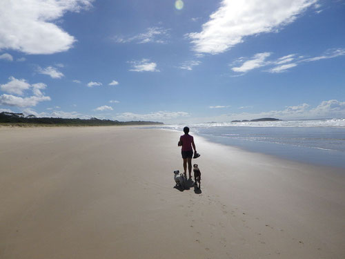 The beach at the campsite