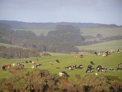 The countryside on the way to Johanna beach