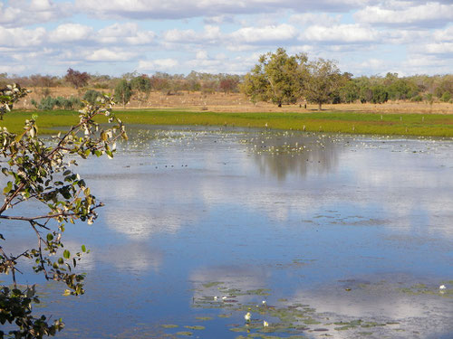 Lake at campspot