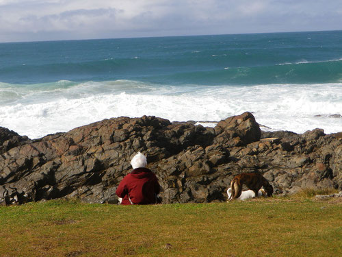 Mum and the dogs at Hastings Point