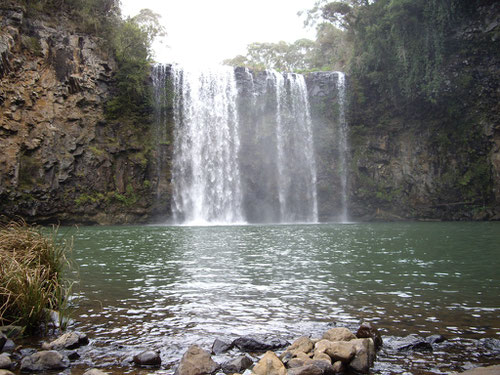 Yet more waterfalls (Dorrigo)