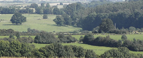 le bocage de Thiérache, près de etréaupont