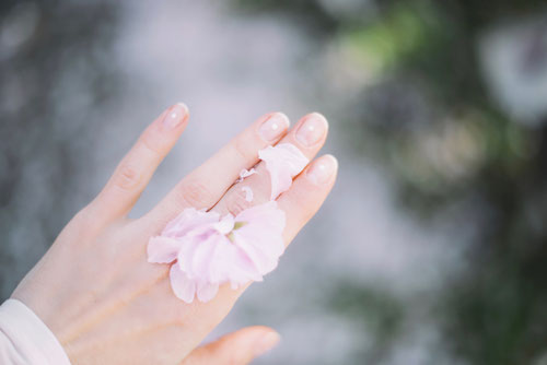 Schöne Fingernägel - Photo by Roman Kraft on Unsplash