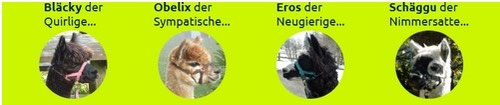 sanfter tourismus Schweiz