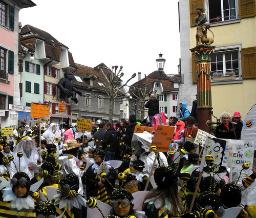 fotos chinnerumzug solothurn 2014