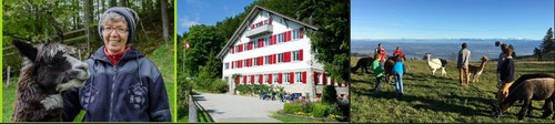 wanderferien jura