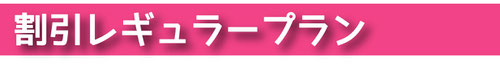 1 割引レギュラープラン