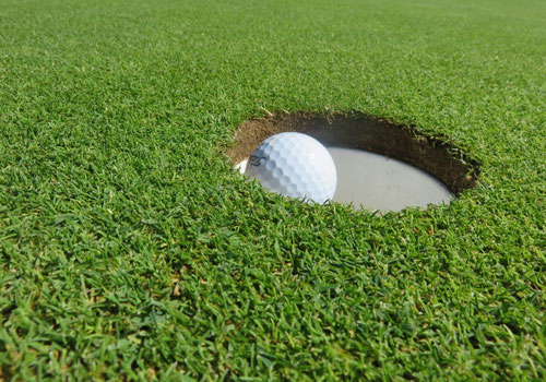 What Grass Is Best For A Putting Green