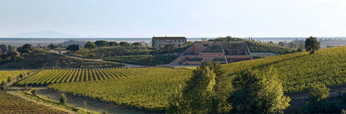 Antinori - Vini Della Valle