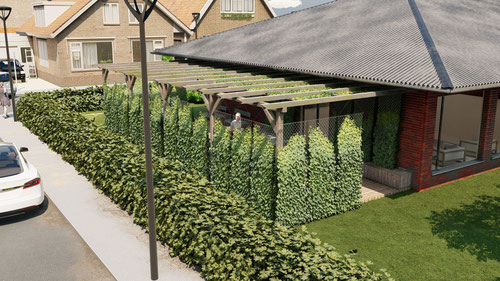 ©Javoy Plantes - I.C.O® solution de végétalisation façade de maison