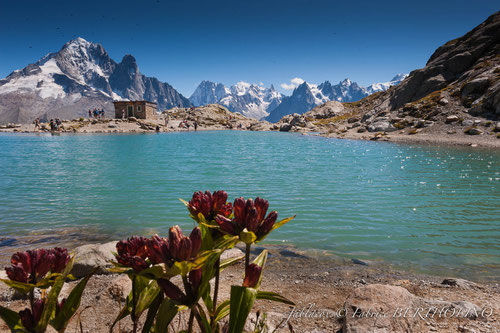 Praz de Chamonix - Lac Blanc - 2011_08