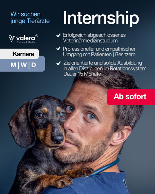 14. Professionelle Fotos Tierklinik – OP-Fotos und Teamportraits für Tierarztpraxis