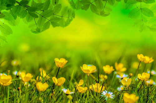 Therapeutische Hilfe bei Aengsten Sorgen  Depression Peine