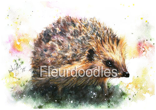 Igel, Tiermalerei, Tierportraits, Tierbilder kaufen, Ölgemälde, Bleistift, Pastellkreide, Tiere in Aquarell, Tiermaler, Gemälde Tiere modern, Bilder Wohnung, Kunstdrucke, Poster, Leinwand, Drucke, Original Kunst, Bodo Meier, Maike Geller, Fleurdoodles