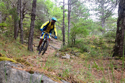 Ronde VTT des 3 Quilles - Sentier des Oliviers