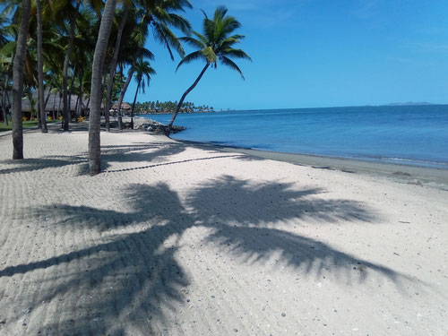palmen schatten palme sand strand meer schattenspiel schöne natur fotos bilder kostenlos landschaft ohne copyright