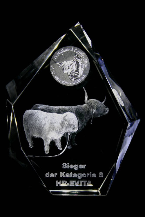 Highland Cattle-Show 2014 Swiss 3D Glas Show Pokal