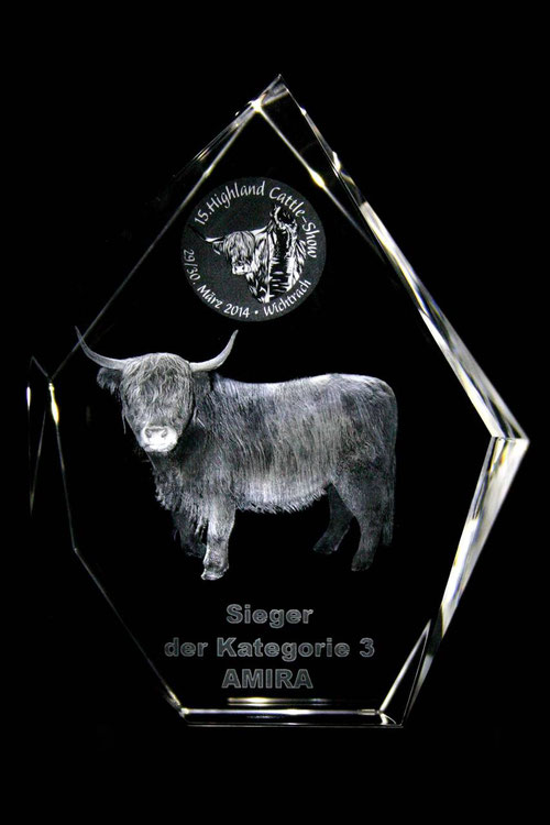Highland Cattle-Show 2014 Swiss 3D Glas Show Pokal