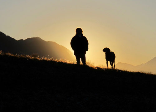 Abendsonne im Chiemgau