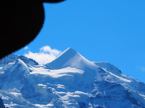 das Jungfrau-Joch erhaben, fast majestätisch