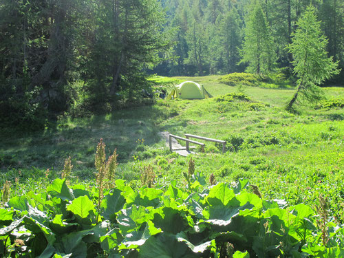 überall gibt es Wege, aber GottseiDank keine Strassen