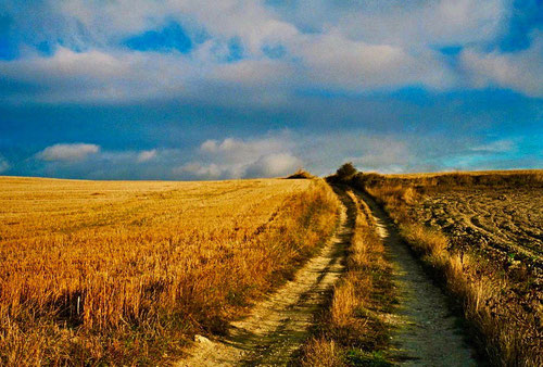 die Wege und kleinen Strassen waren einzigartig schön