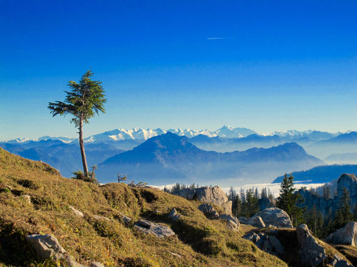 die Aussicht reichte vom Grossglockner bis zum Gross-Venediger hinüber