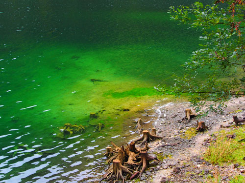 fast möchte man in das klare Wasser greifen