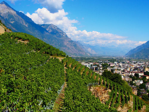 Martigny - Zentrum des französischsprachigen Unterwallis