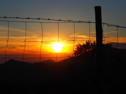 die Sonne verabschiedete wie jeden Tag, dominant und allmächtig