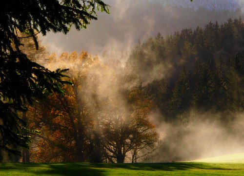 aufsteigender Nebel auf dem Oberscharam