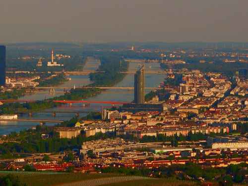 Panorama-Aussicht auf die Donau und auf die Stadt Wien