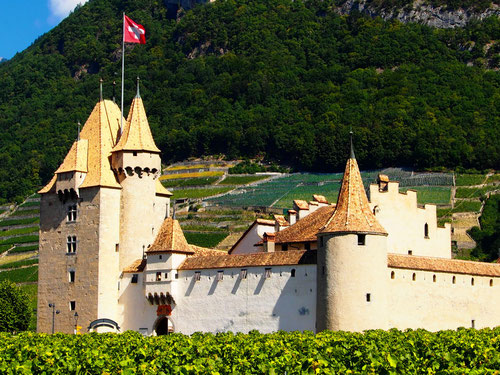 das Schloss Roche umgeben von üppigen Weinbergen