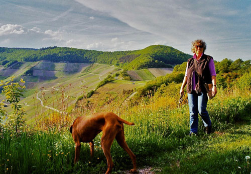 hoch über der Mosel mit Blick auf die Eifel