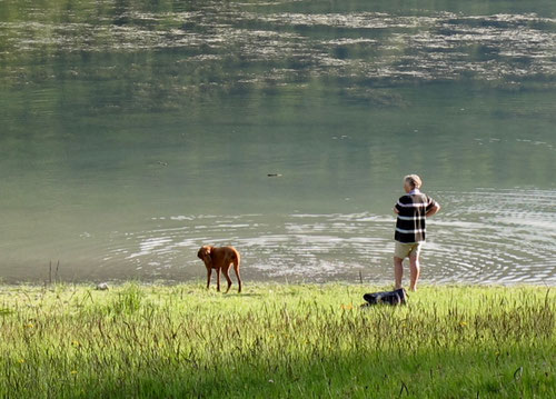 das erste Bad im Sommer