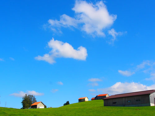 der Himmel und die Wiesen passe hier zusammen