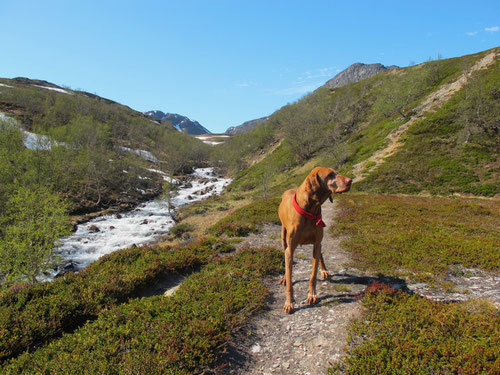 Mittagspause in der Nordkap-Region