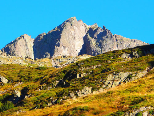 hinten den Almen das Gwächtenhorn