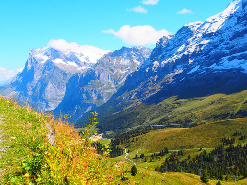 Der Weg von Grindelwald hinauf zur kleinen Scheidegg 