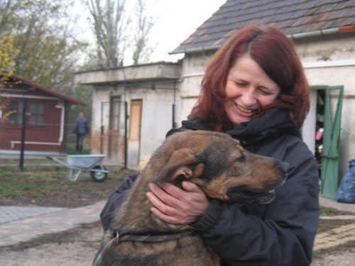 Patenschaft Hund und Katz Tierhilfe e.V. Webseite!
