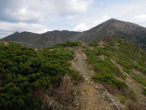 馬の背から見たアポイ岳山頂（右のピーク）と吉田岳（左のピーク）、手前の稜線にヒメチャマダラセセリが飛んでいます