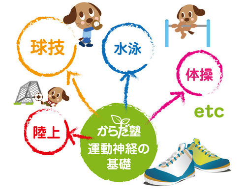 からだ塾目と耳の体操教室